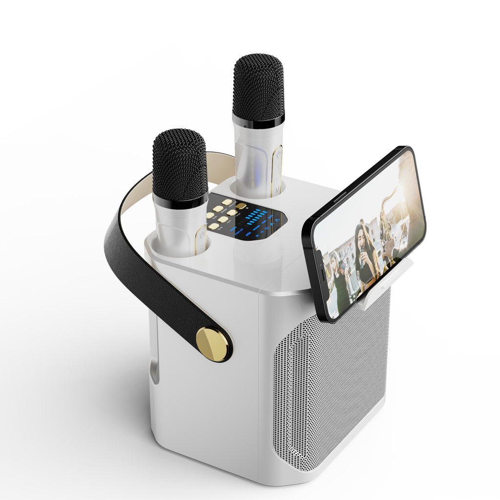 Bluetooth Karaoke Speaker with Dual Microphones