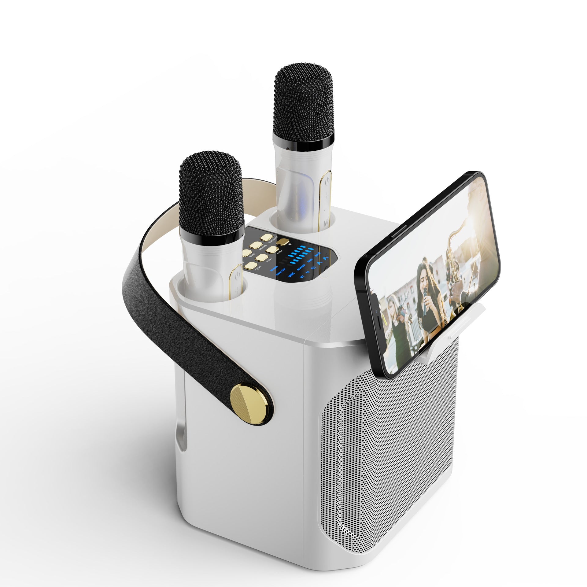 Bluetooth Karaoke Speaker with Dual Microphones