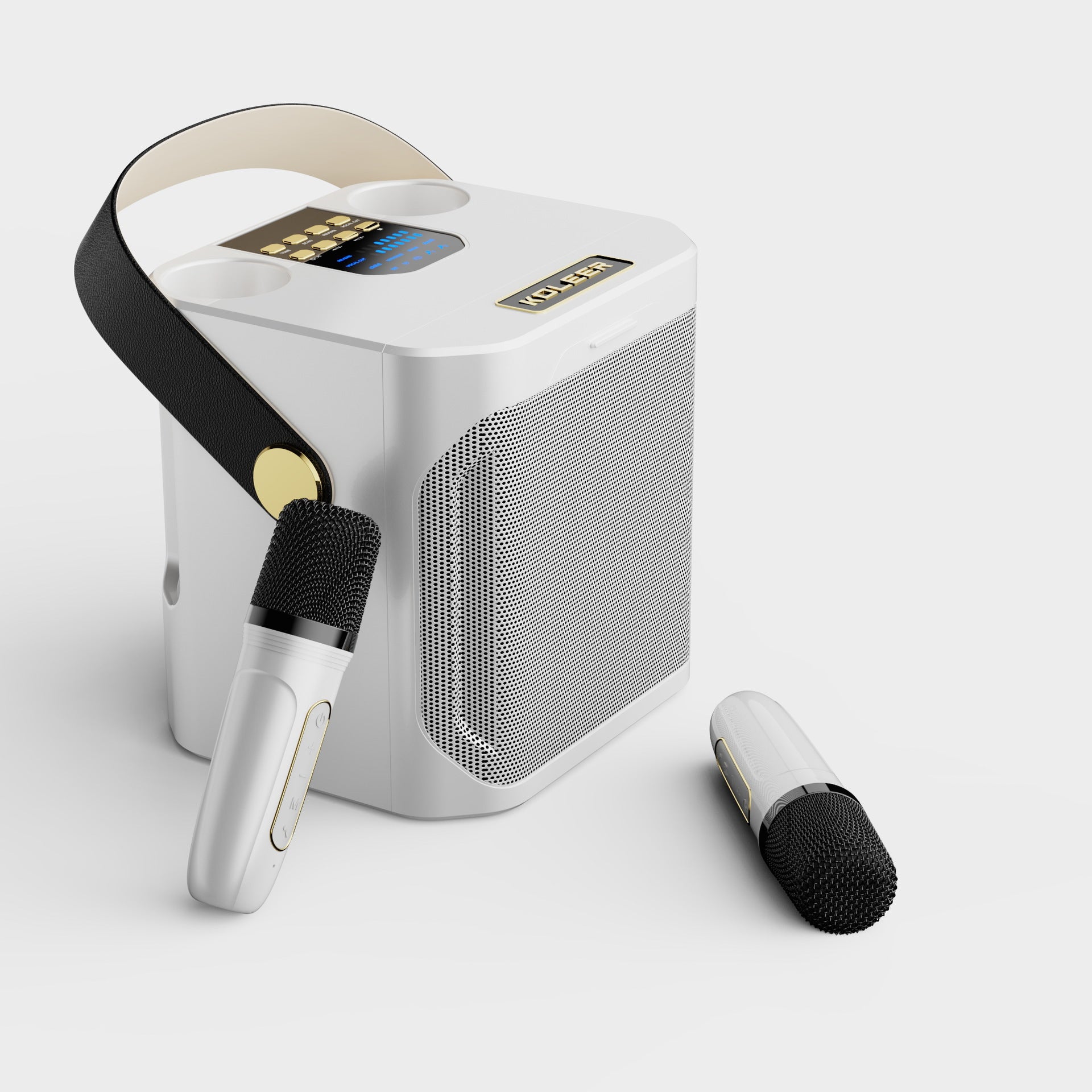 Bluetooth Karaoke Speaker with Dual Microphones